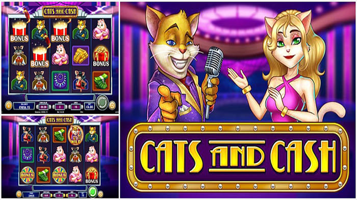 Slot Cats and Cash