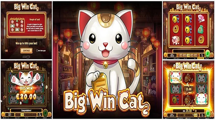 Slot Big Win Cat